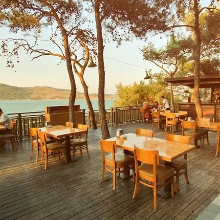 Ivy Sailing 4* Sarimsakli